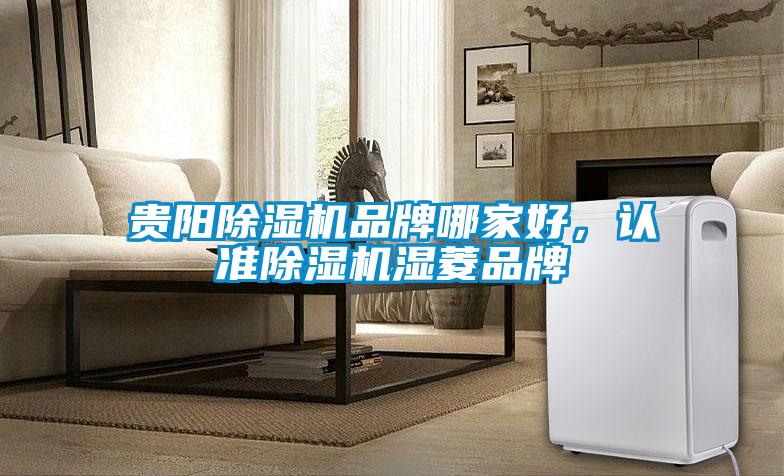 貴陽(yáng)除濕機品牌哪家好，認準除濕機濕菱品牌