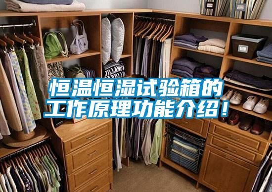 恒溫恒濕試驗箱的工作原理功能介紹！
