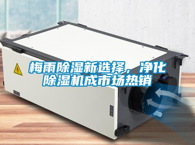 梅雨除濕新選擇，凈化除濕機成市場(chǎng)熱銷(xiāo)