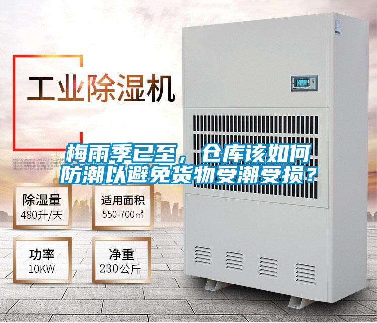 梅雨季已至，倉庫該如何防潮以避免貨物受潮受損？