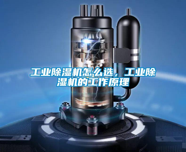 工業(yè)除濕機怎么選，工業(yè)除濕機的工作原理