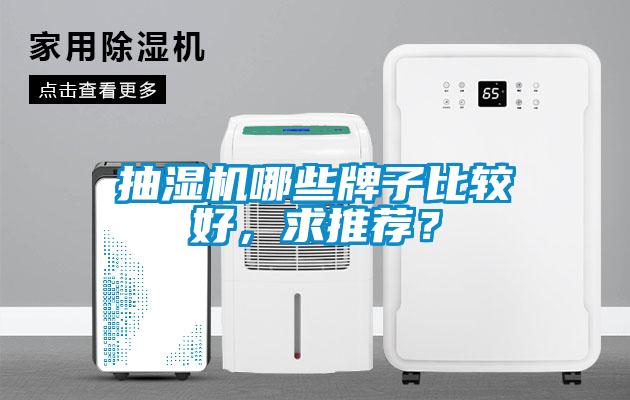 抽濕機哪些牌子比較好，求推薦？