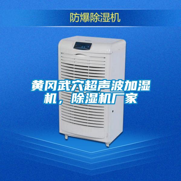 黃岡武穴超聲波加濕機，除濕機廠(chǎng)家