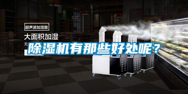 除濕機有那些好處呢？