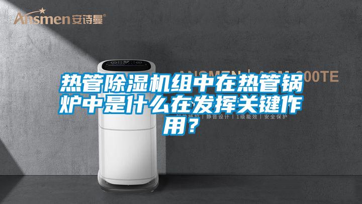 熱管除濕機組中在熱管鍋爐中是什么在發(fā)揮關(guān)鍵作用？