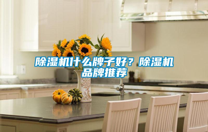除濕機什么牌子好？除濕機品牌推薦