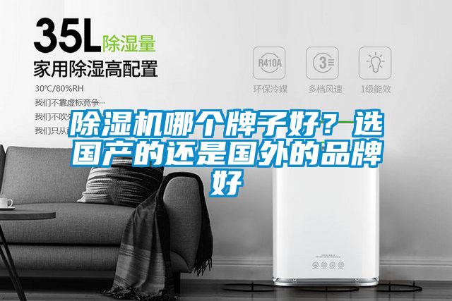 除濕機哪個(gè)牌子好？選國產(chǎn)的還是國外的品牌好