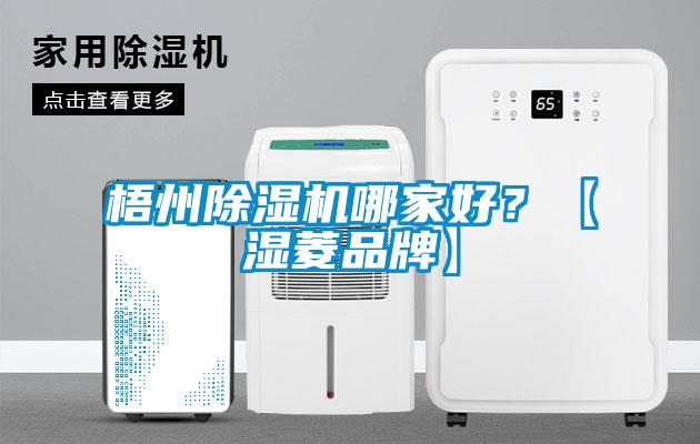 梧州除濕機哪家好？【濕菱品牌】