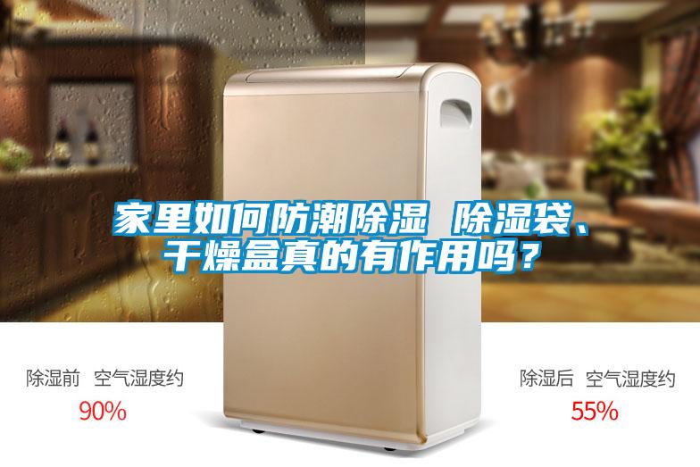 家里如何防潮除濕 除濕袋、干燥盒真的有作用嗎？