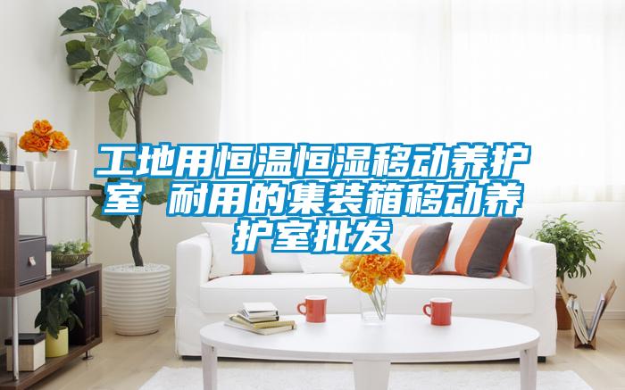 工地用恒溫恒濕移動養護室 耐用的集裝箱移動養護室批發