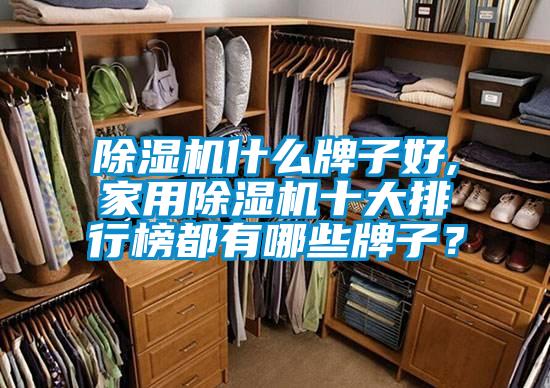 除濕機什么牌子好,家用除濕機十大排行榜都有哪些牌子？
