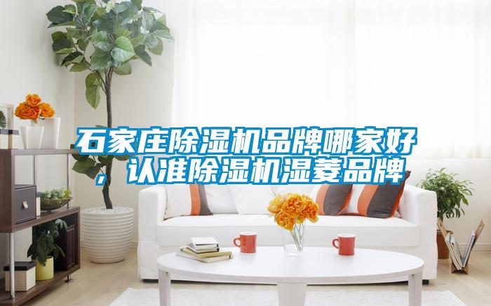 石家莊除濕機品牌哪家好，認準除濕機濕菱品牌