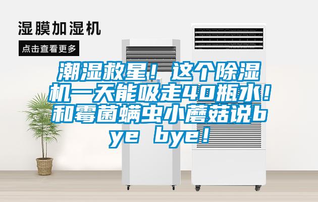 潮濕救星！這個(gè)除濕機一天能吸走40瓶水！和霉菌螨蟲(chóng)小蘑菇說(shuō)bye bye！