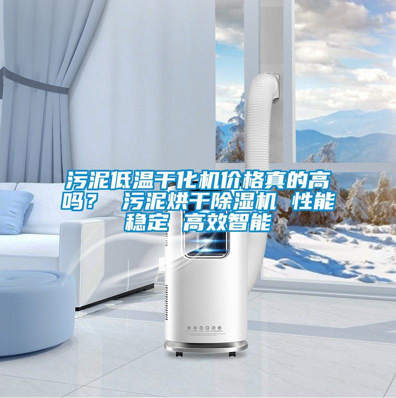 污泥低溫干化機價(jià)格真的高嗎？ 污泥烘干除濕機 性能穩定 高效智能