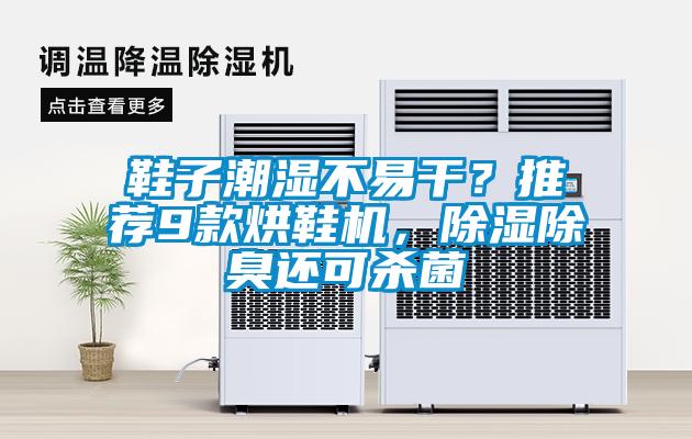 鞋子潮濕不易干？推薦9款烘鞋機，除濕除臭還可殺菌
