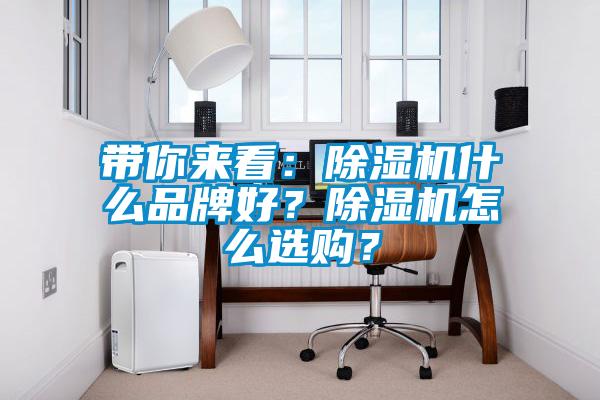 帶你來(lái)看：除濕機什么品牌好？除濕機怎么選購？