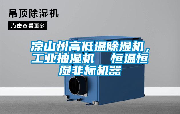 涼山州高低溫除濕機，工業(yè)抽濕機  恒溫恒濕非標機器