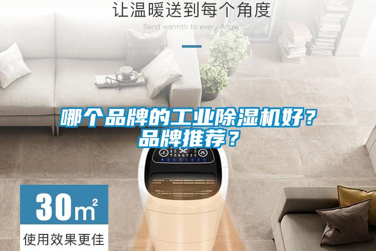 哪個(gè)品牌的工業(yè)除濕機好？品牌推薦？