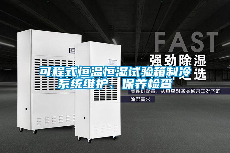 可程式恒溫恒濕試驗箱制冷系統維護、保養檢查