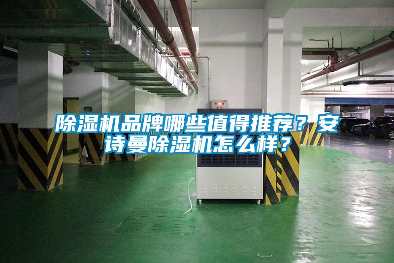 除濕機品牌哪些值得推薦？安詩(shī)曼除濕機怎么樣？