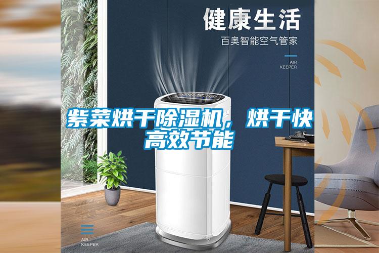 紫菜烘干除濕機，烘干快高效節能