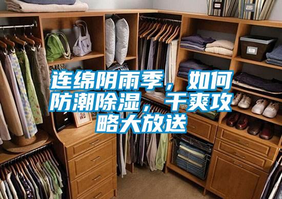 連綿陰雨季，如何防潮除濕，干爽攻略大放送