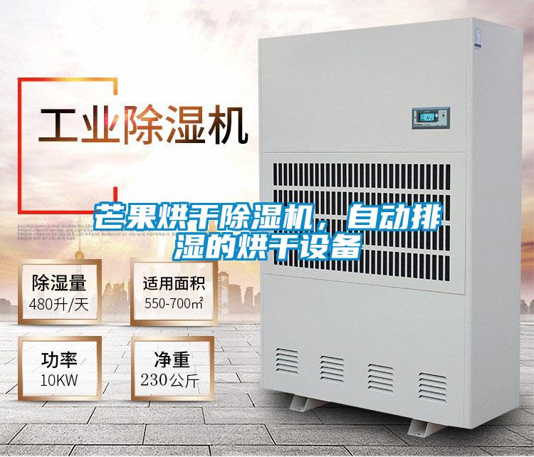 芒果烘干除濕機，自動(dòng)排濕的烘干設備