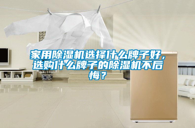 家用除濕機選擇什么牌子好，選購什么牌子的除濕機不后悔？
