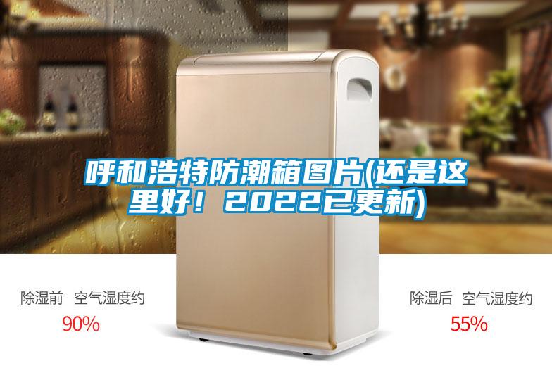 呼和浩特防潮箱圖片(還是這里好！2022已更新)