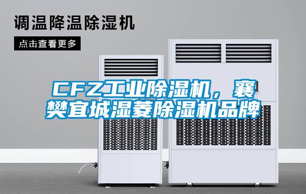 CFZ工業(yè)除濕機，襄樊宜城濕菱除濕機品牌