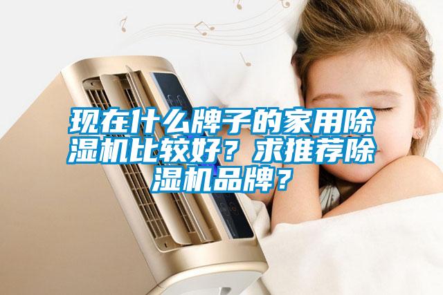 現在什么牌子的家用除濕機比較好？求推薦除濕機品牌？