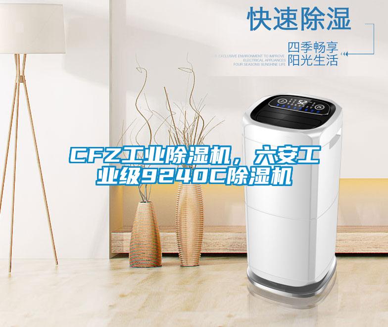 CFZ工業(yè)除濕機，六安工業(yè)級9240C除濕機