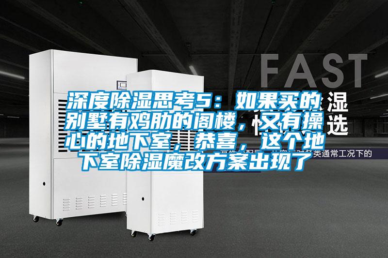 深度除濕思考5：如果買(mǎi)的別墅有雞肋的閣樓，又有操心的地下室，恭喜，這個(gè)地下室除濕魔改方案出現了