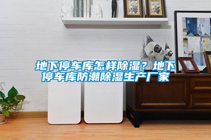 地下停車(chē)庫怎樣除濕？地下停車(chē)庫防潮除濕生產(chǎn)廠(chǎng)家