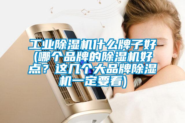 工業(yè)除濕機什么牌子好(哪個(gè)品牌的除濕機好點(diǎn)？這幾個(gè)大品牌除濕機一定要看)