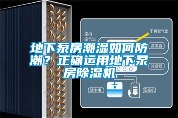 地下泵房潮濕如何防潮？正確運用地下泵房除濕機