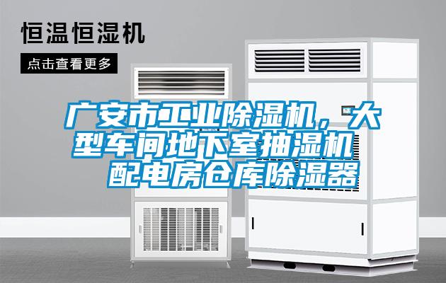 廣安市工業(yè)除濕機，大型車(chē)間地下室抽濕機  配電房倉庫除濕器