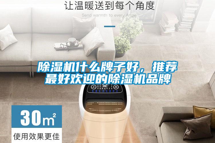 除濕機什么牌子好，推薦最好歡迎的除濕機品牌