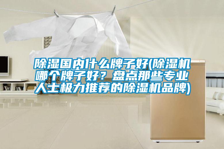 除濕國內什么牌子好(除濕機哪個(gè)牌子好？盤(pán)點(diǎn)那些專(zhuān)業(yè)人士極力推薦的除濕機品牌)