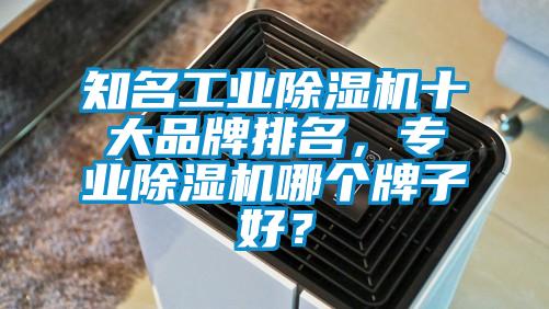 知名工業(yè)除濕機十大品牌排名，專(zhuān)業(yè)除濕機哪個(gè)牌子好？