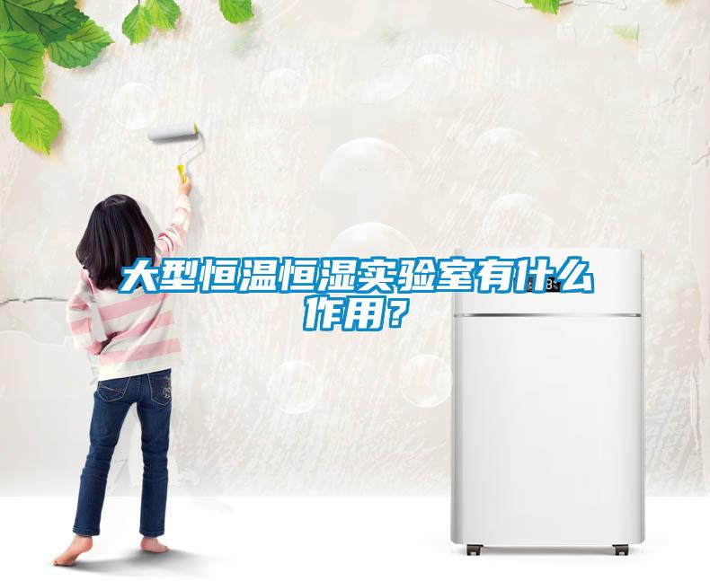 大型恒溫恒濕實(shí)驗室有什么作用？