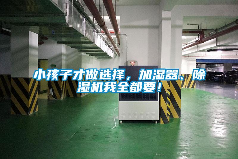 小孩子才做選擇，加濕器、除濕機我全都要！