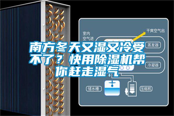 南方冬天又濕又冷受不了？快用除濕機幫你趕走濕氣