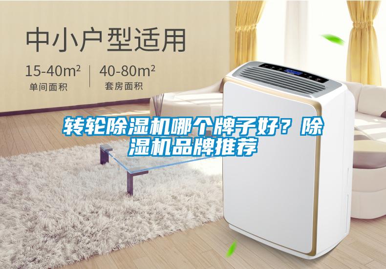 轉輪除濕機哪個(gè)牌子好？除濕機品牌推薦