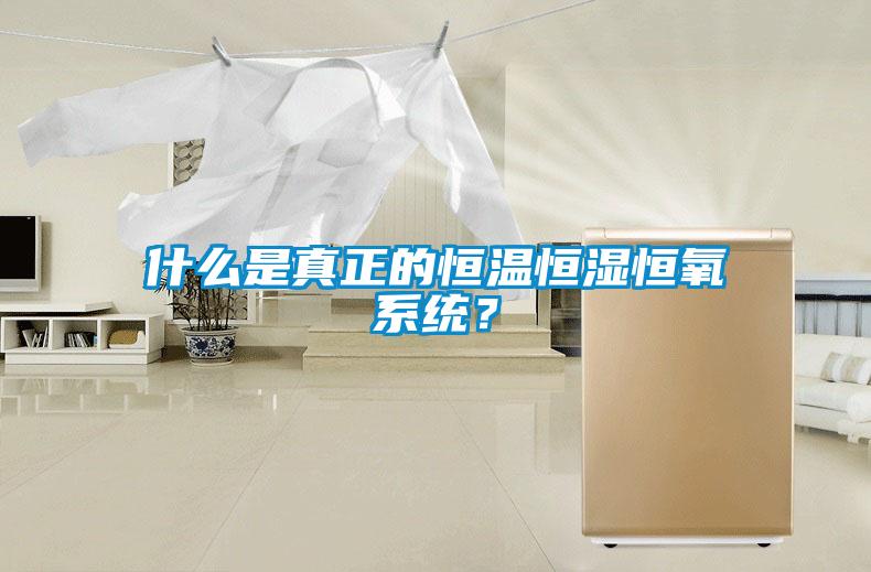 什么是真正的恒溫恒濕恒氧系統？
