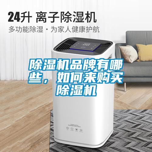 除濕機品牌有哪些，如何來(lái)購買(mǎi)除濕機