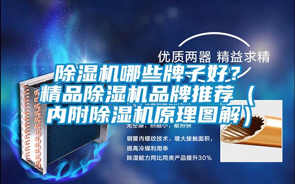 除濕機哪些牌子好？精品除濕機品牌推薦（內附除濕機原理圖解）