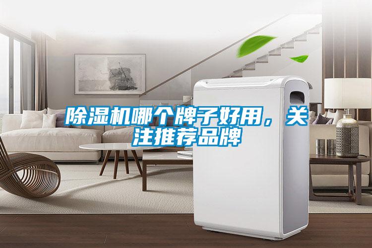 除濕機哪個(gè)牌子好用，關(guān)注推薦品牌