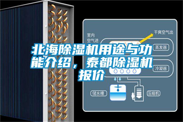 北海除濕機用途與功能介紹，泰都除濕機報價(jià)
