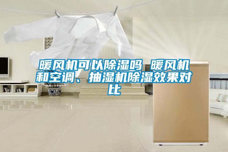 暖風(fēng)機可以除濕嗎 暖風(fēng)機和空調、抽濕機除濕效果對比